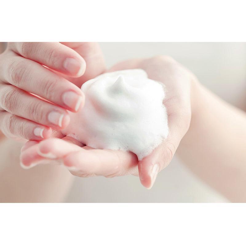 [DERMA FACTORY] EDLP Houttuynia Cordata 24% Cleansing Foam 120g
