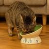 Non-Slip Ceramic Cat Bowl Diagonal High Foot Drinking Bowl  Cervical Vertebra Protection
