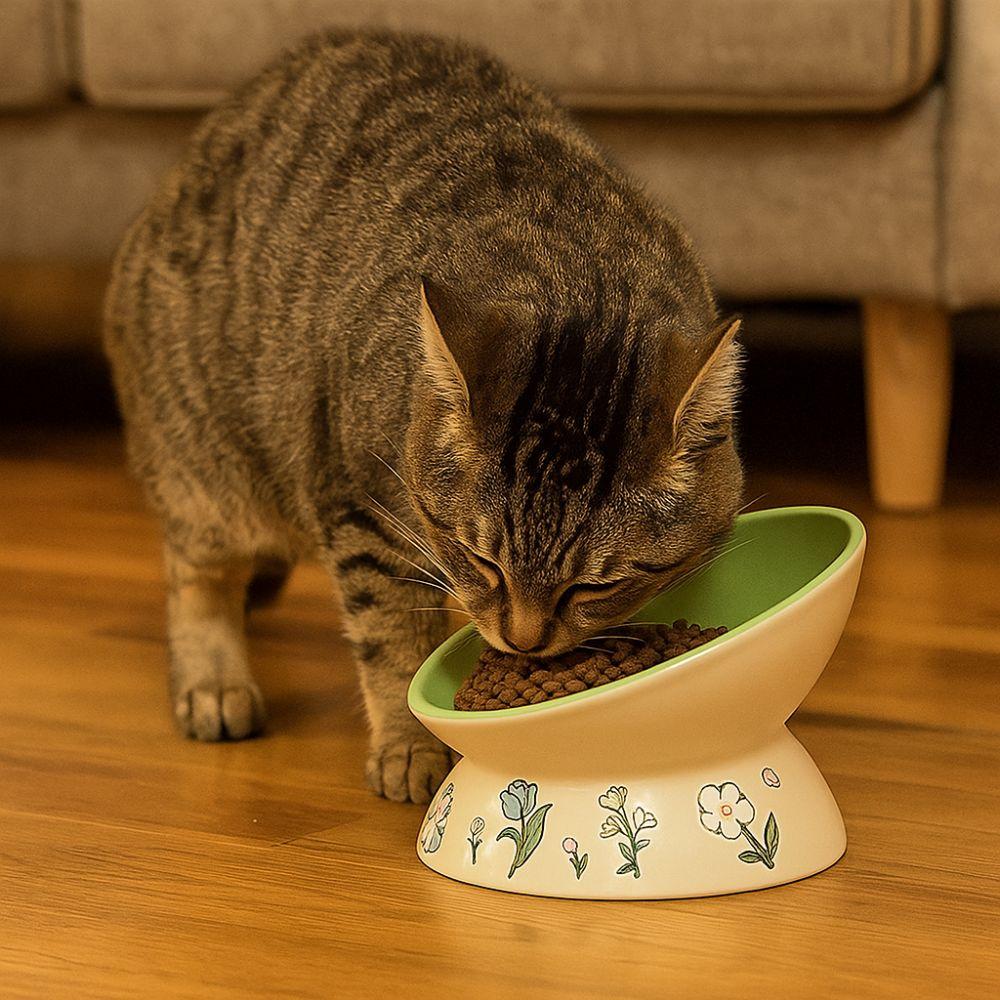 Non-Slip Ceramic Cat Bowl Diagonal High Foot Drinking Bowl  Cervical Vertebra Protection