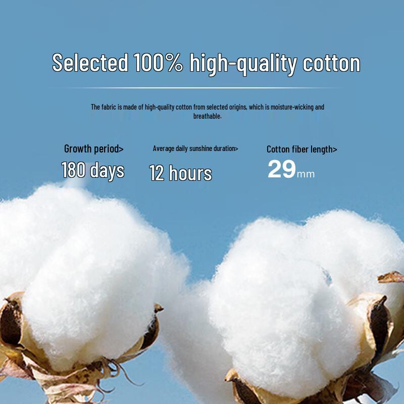 Daifuni Pure Cotton Seven-Hole Fiber Quilt