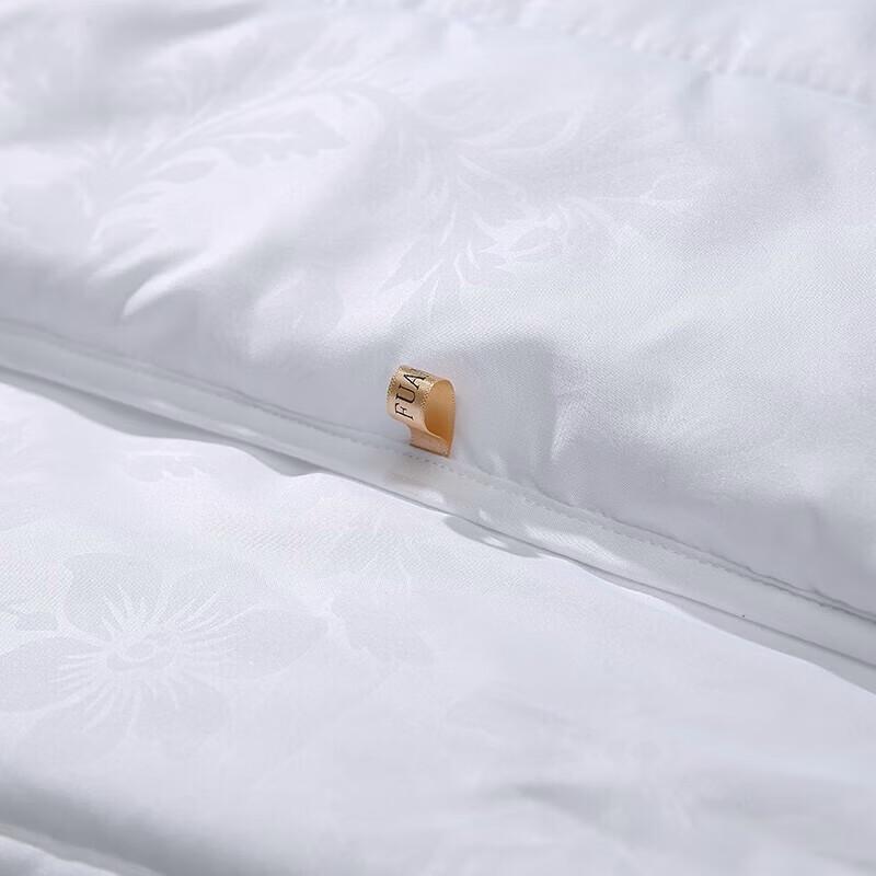 Fuanna Delightful Warm Core Brushed Fiber Quilt