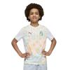 Puma Childrens/Kids Ivory Coast FIFA World Cup 26 Away Shirt