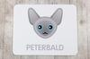 Peterbald - Mouse Pad by Art-Dog Brand