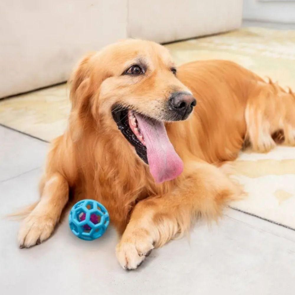 

Hollow Out Hollow Out Cat Ball Toy with Bell Rubber Horse Feeding Ball Relieve Anxiety