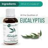 Naturalis Eucalyptus Oil Essential Oil - Pure Eucalyptus Essential Oil For Aromatherapy, Skin & Hair Care, Massage - 30Ml
