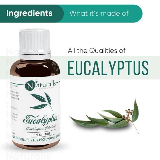 Naturalis Eucalyptus Oil Essential Oil - Pure Eucalyptus Essential Oil For Aromatherapy, Skin & Hair Care, Massage - 30Ml