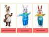 Cycling Style Full Body Easter Bunny Inflatable Costume - Blue Pink Festival Cosplay Doll