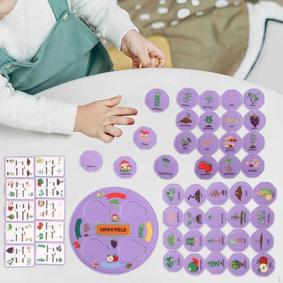 Geliştirici ve Eğitici Oyuncaklar – Eğitici Oyuncaklar