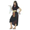 Fiestas Guirca Womens/Ladies Cleopatra Costume Set