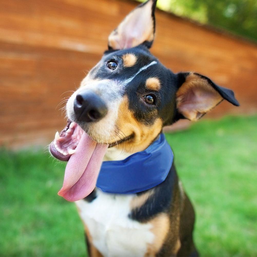 cooling wrap for dogs