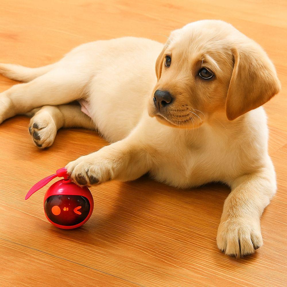 Touch Activated Self-rolling Ball Toy USB Automatic Moving Ball Smart Electric Cat Toy Indoor