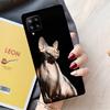 Sphynx Sphinx Cat For Samsung Galaxy A54 A14 A16 A26 A36 A56 A22 A32 A52 A55 A35 A05 A06 A15 A53 A33 A13 Case
