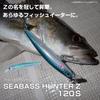 Daiwa Seabass Hunter Z 120S Chart Head Plating Sardine