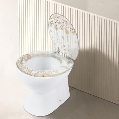 Toilet Seat Elongated Transparent Resin Toilet Seat Quiet And Slow Close Lid Easy Clean Home Shells Decor Silver Hinges