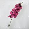 Phalaenopsis Aphrodite Rch Artificial Flower For Wedding Decor And Home Arrangement