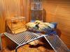 Rooster Ornament Shelf & Chicken Coop Feeder Platform
