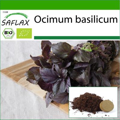 Biologico - Basilico Rosso - 400 semi - Con terriccio per una migliore coltivazione - Ocimum basilicum