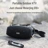 W-King D10+ Portable Bluetooth Karaoke Speaker CN Plug (adapter Included)