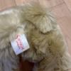 [USED] Shinada Company Stuffed Toy Teddy Bear