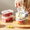 Multi-functional Refrigerator Fruit & Bento Storage Box