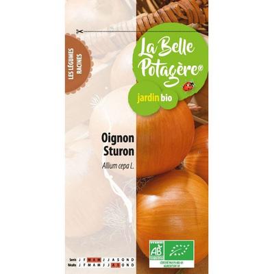 Sturon Onion 1 G