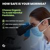 Carbamide Forte Polvere Biologica di Moringa 100g Certificato USDA | Energia, Digestione e Immunità Potenziate
