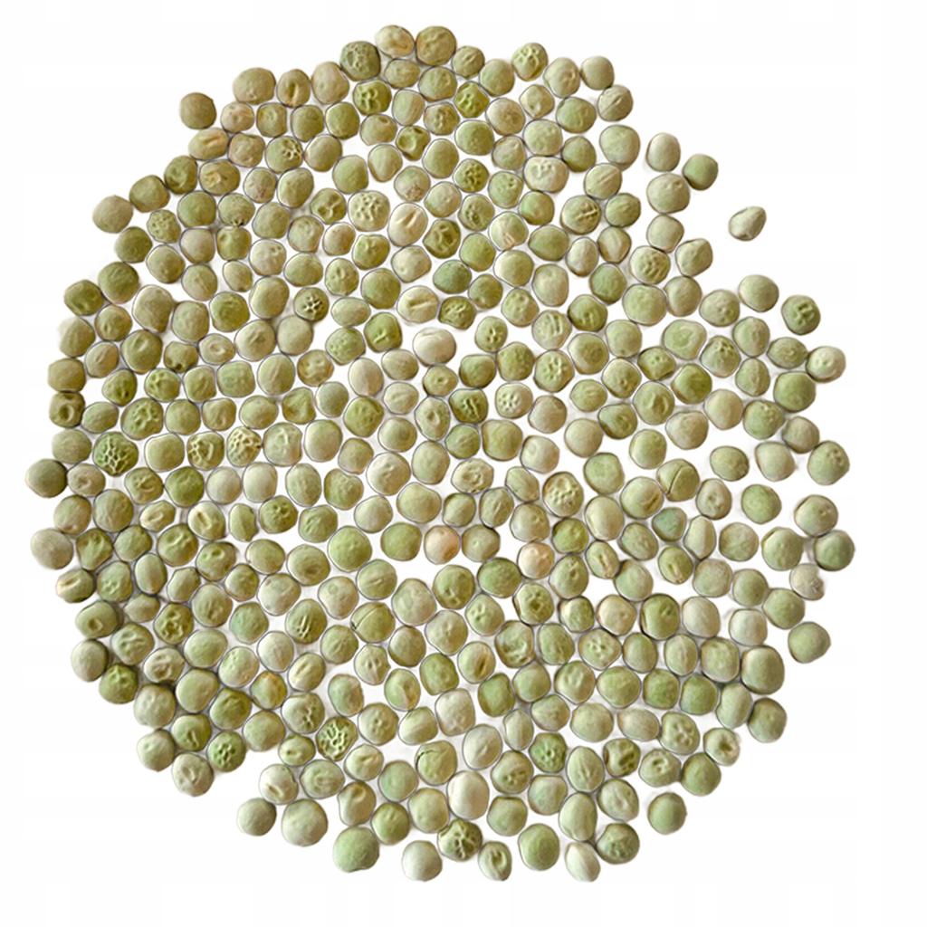 51Seed E05 Nasiona Na Kiełki - Groch Cukrowy Affyla 50G
