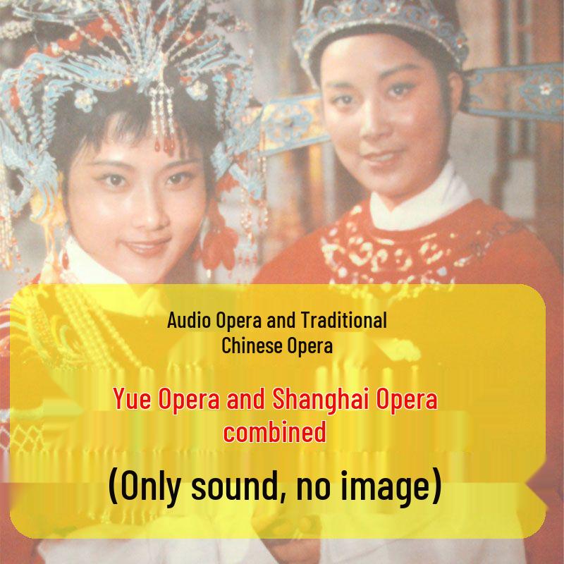 

HD Yue Opera USB Flash Drives and Memory Cards for Elderly-Friendly Viewing 1MB