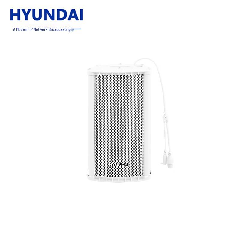 Hyundai IP Network Broadcasting Audio Systems CN plug (adapter included)