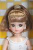 Bonecas e peluches – Bonecas