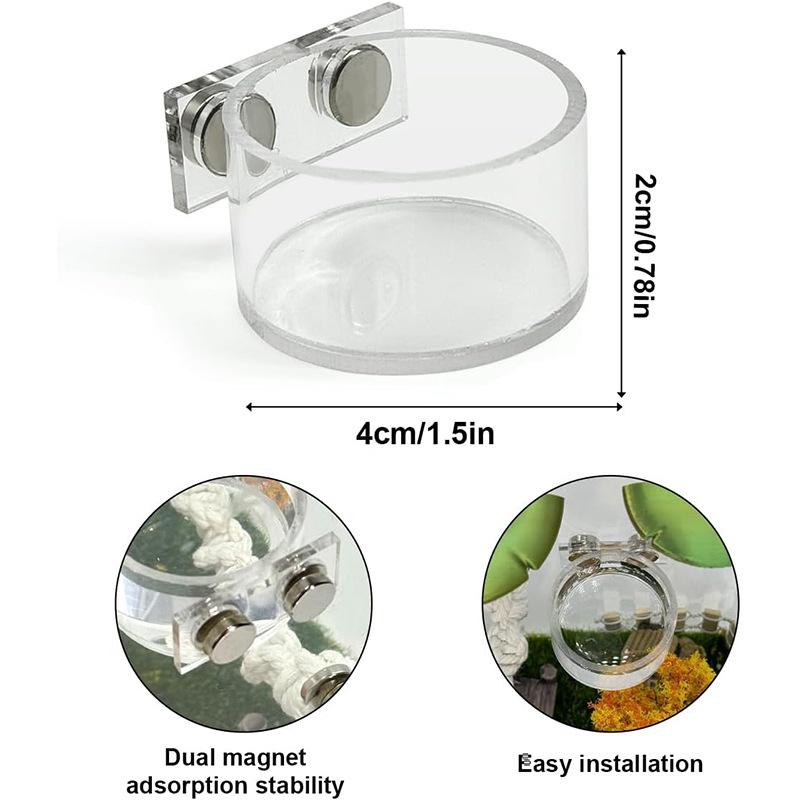 

Reptile Insect Feeding Dish Set Mini Magnetic Food Water Bowl With Feeding Clip For Spider Manti Cricket Enclosure Accessories 1Set