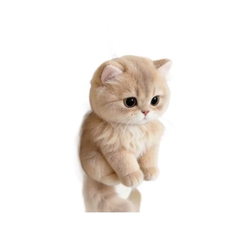 Portachiavi Gatto Peluche Con Materiale Peluche Corto Morbido Per Regalo E Decorazione Borsa