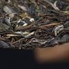 2022 Haiwan Yi Wu Zheng Shan Raw Puerh Chinese Tea Ma Hei Mountain Stronghold Ancient Tree Sheng Puer Tea 500g