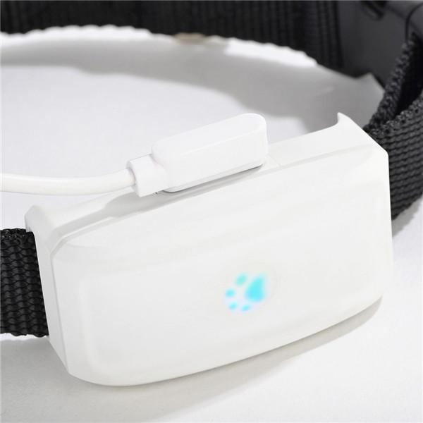 Buy GPS Tracker TKSTAR TK911 for Pets Dogs Cats WIFI Locatoin Real Time