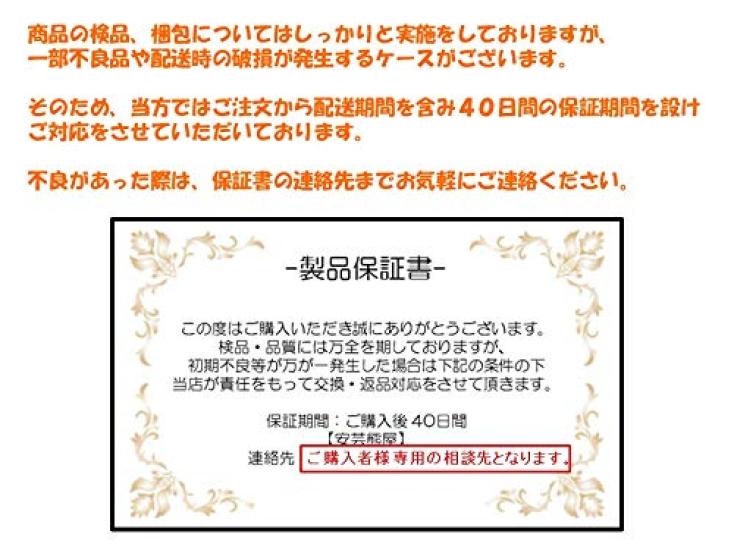 Aki Kumaya's Impressive 30cm Tyrannosaurus Rex Figure, King of the Dinosaurs, Standing On Both Legs, PVC, Opening and Closing Mouth [Warranty
