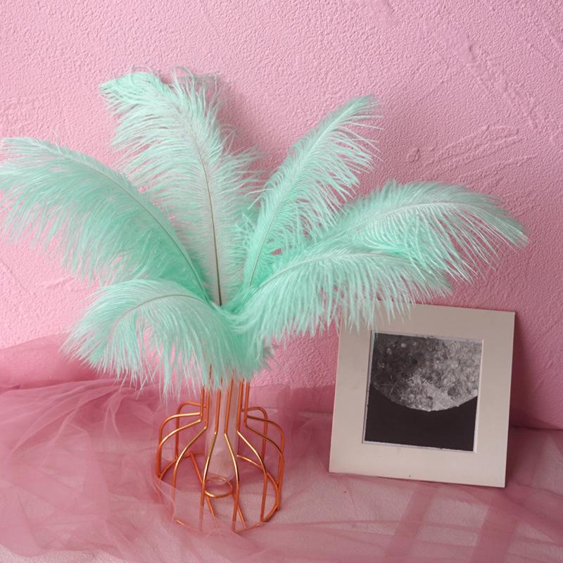 Color 20-25Cm Ostrich Hair Vase Ornament Wall Feather Decoration Hand Bouquet Flower Arrangement Diy Material