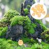 Happyyami Miniature Hamster Figurines, Set of 12, Resin Sculpture, Small Garden Decoration, for Small Animal Cages, Plant Pot Ornaments, Cute