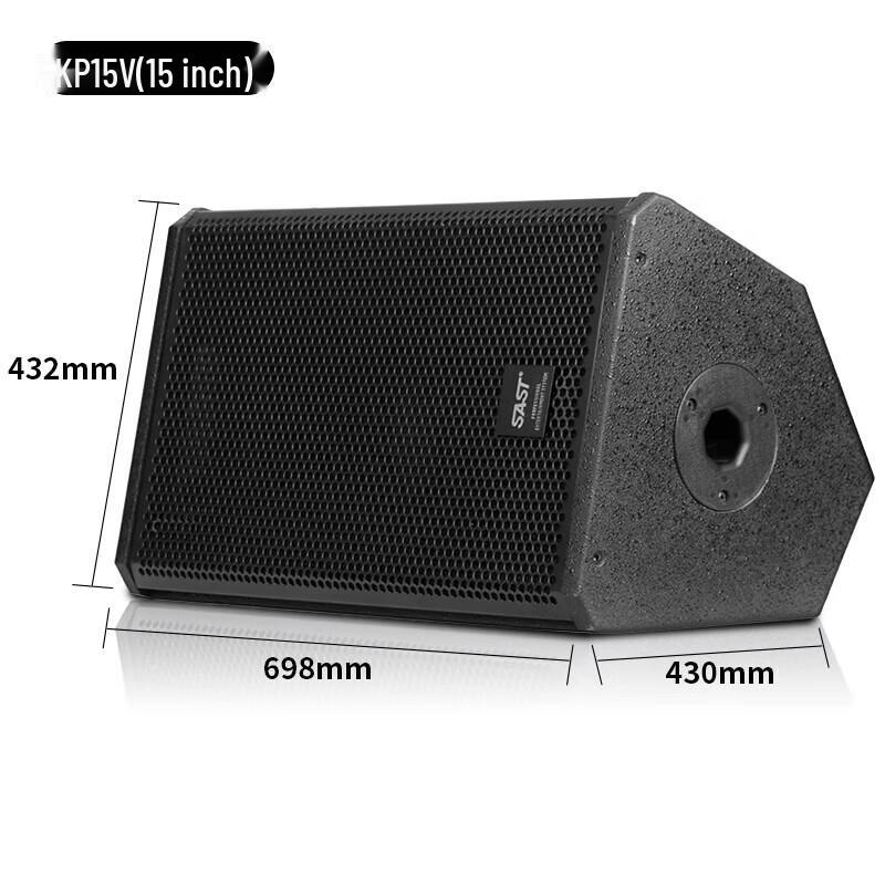 SAST KP15V 15-inch Professional Passive Stage Speakers