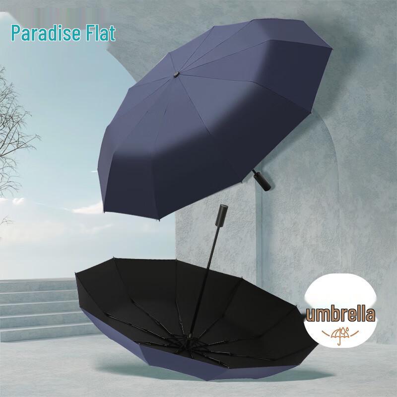 Heaven Automatic 10-Rib Business Umbrella