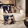 Hot Video Game RRain World Pillow Case Fashion Square Pillowcase Bedroom Sofa Room Ins Decoration Leisure