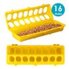 16 Hole Plastic Flip-Top Poultry Bird Feeder Ground Chicken Bird Feeder Trough Pheasant feeding bucket Quality Chick