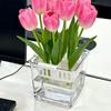 Clear Hydroponics Nursery Pots Planter Containers Tulip Bulb Planter  Greenhouse Growing