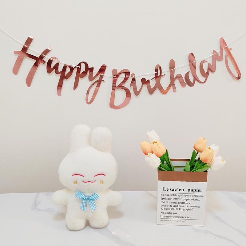 Colorful Happy Birthday Flag Decoration for Baby's First Birthday Photoshoot