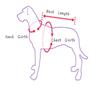 Funny Dress Up Pet Costume Halloween Cosplay New Year Outfit Trendy Cowboy Rider Dog Costume