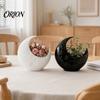 Three-dimensional Textured Planter Crescent Moon Planter, Artistic Star Plant Holder, Elegant Black White Home Decor Pot for Indoor Outdoor