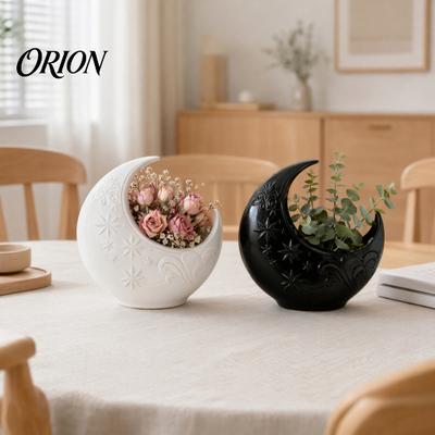 Three-dimensional Textured Planter Crescent Moon Planter, Artistic Star Plant Holder, Elegant Black White Home Decor Pot for Indoor Outdoor