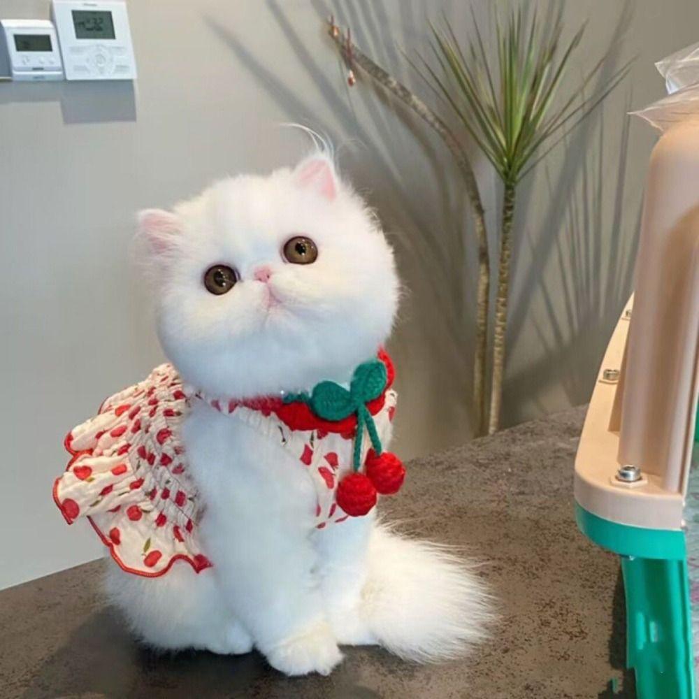 Soft Pet Princess Dresses Cute Dog Vest Skirt Comfortable Pet Summer Clothes  Kittens