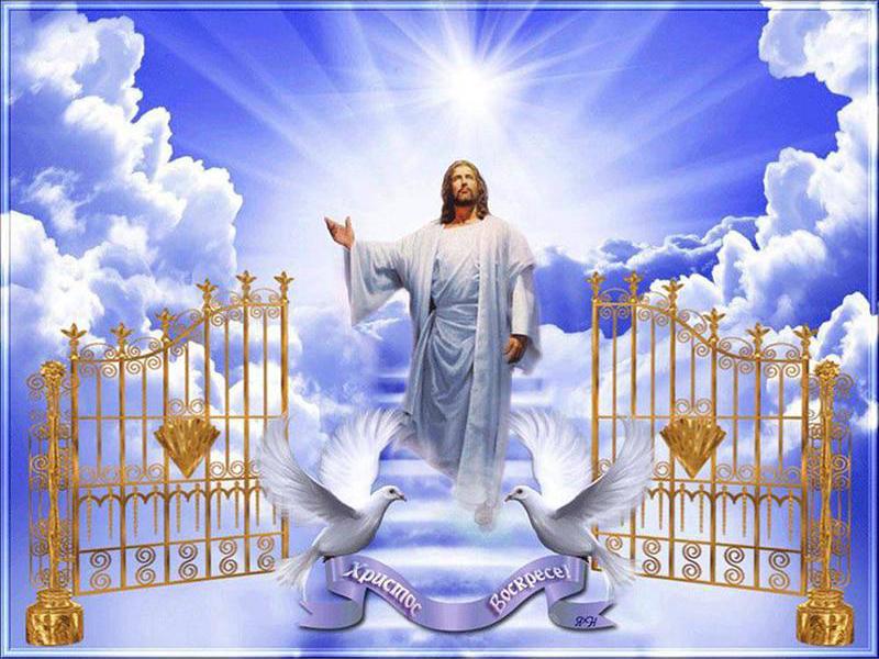 

5d комплект алмазной живописи Религия Иисус Алмазная вышивка Распродажа Портрет Уличный Цветочный Пейзаж Вышивка крестиком Стразы Мозаика Декорция Full Round 20X30CM оранжевый