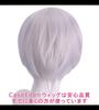 CaseEden Cosplay Wig, Short, 30cm, Center Part, Heat Resistant, Silver, Includes 2 Wig Nets