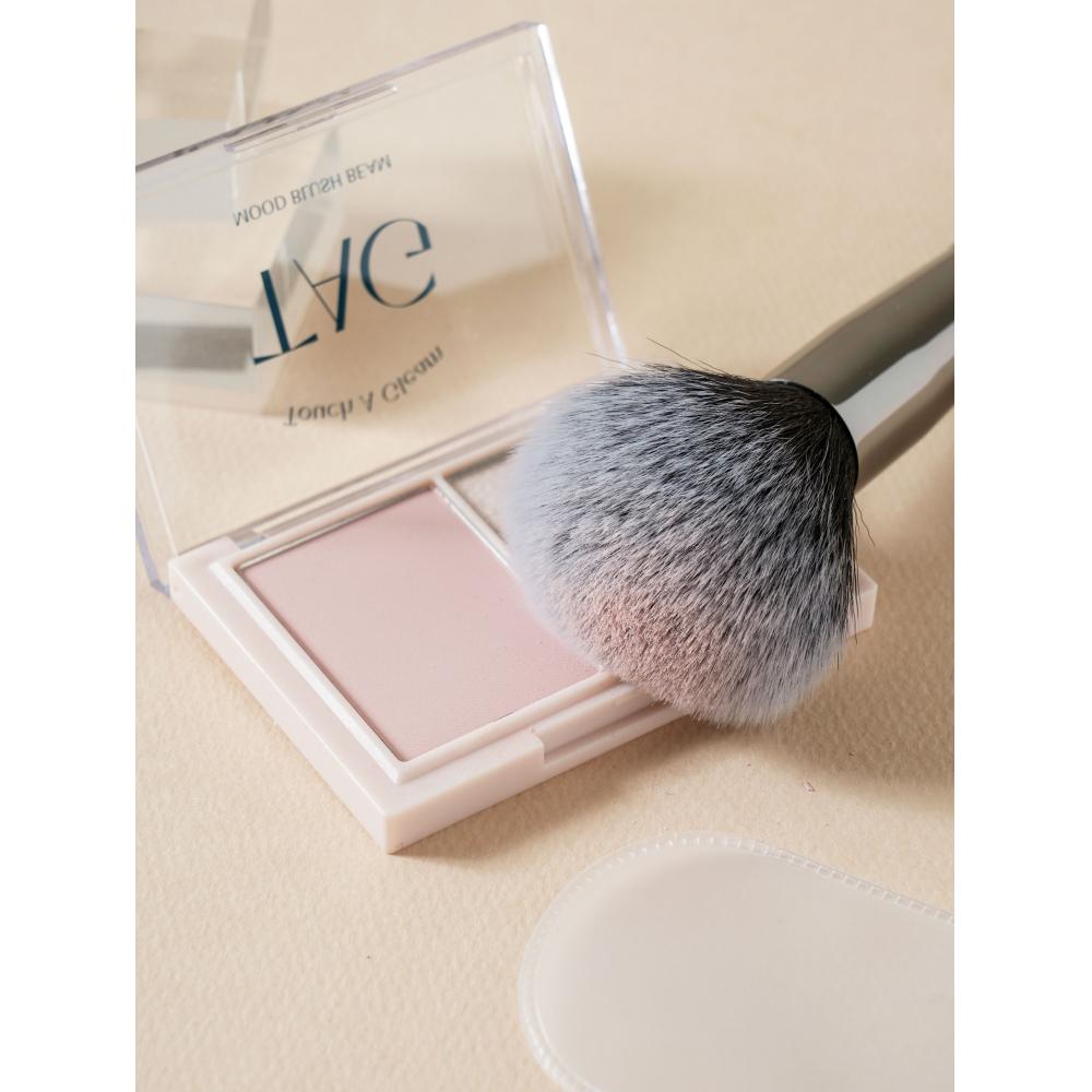 Daiso Palette 17 Powder Brush